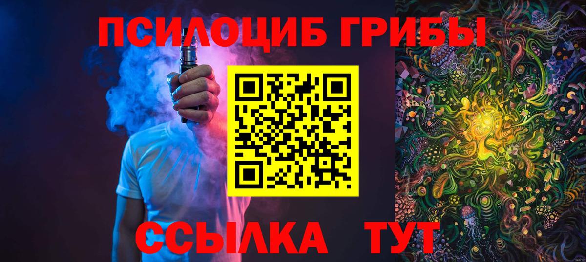 Галлюциногенные грибы Psilocybine cubensis  Вход с VPN  Благодарный 
