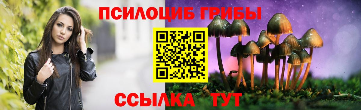 Псилоцибиновые грибы мухоморы Благодарный